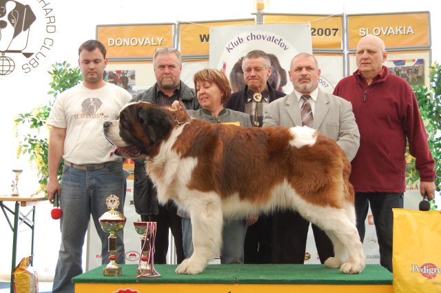 BIS VI. V Donovaly 2007